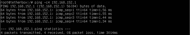 Ping showing successful connection
