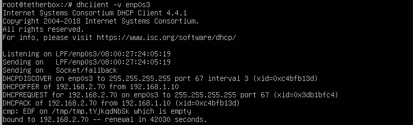 dhclient requesting IP from DHCP
